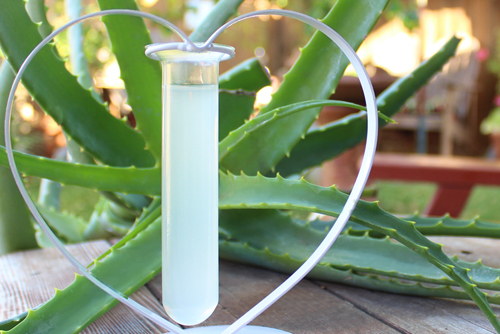 Aloe Verga Gel