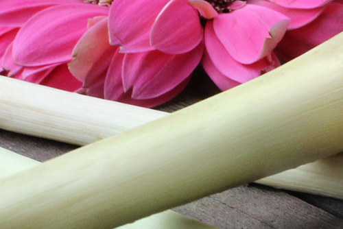 Lemongrass Essential Oil