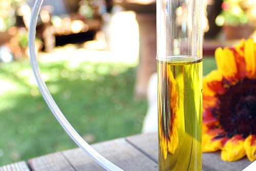 Olive Oil