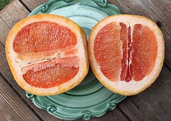 Grapefruit Seed Extract